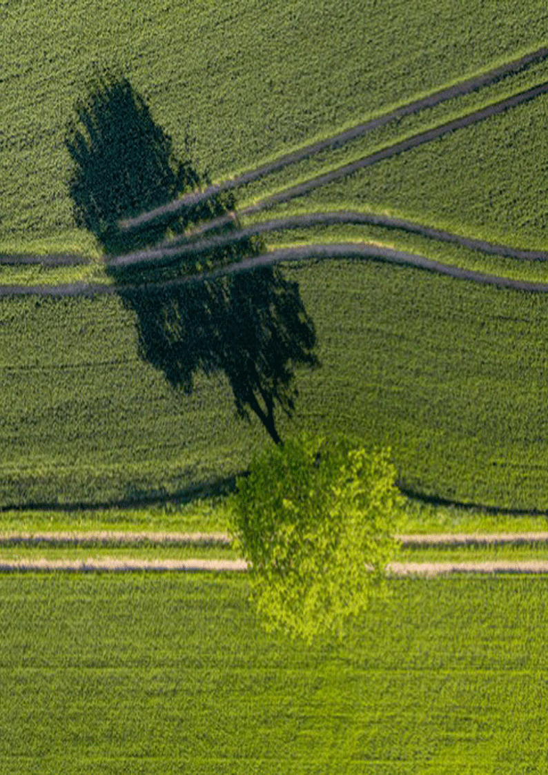 Drone Plakater